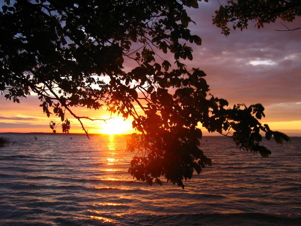 Feriendorf Boeker Muehle Номер фото