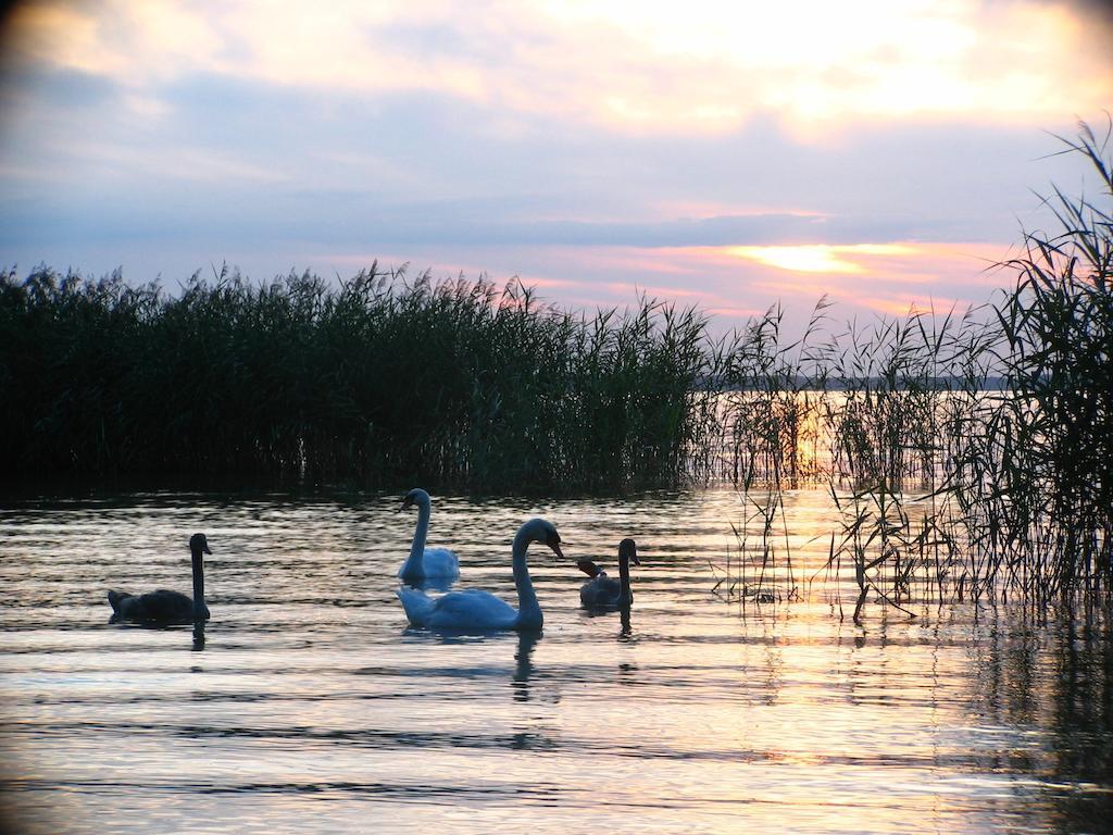 Feriendorf Boeker Muehle Номер фото